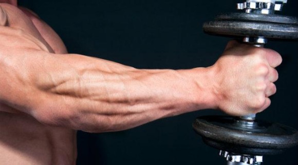 Muscles-Of-The-Forearm