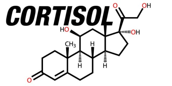 s_cortisol